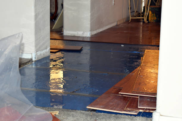 Professional Emergency Water Damage Restoration technician working in Arcadia, OH